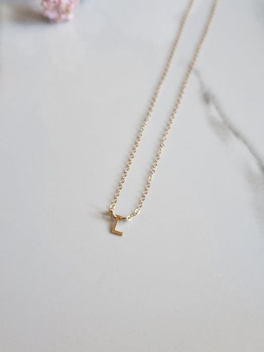 Customized Gold Fill Necklace - Horizontal Characters